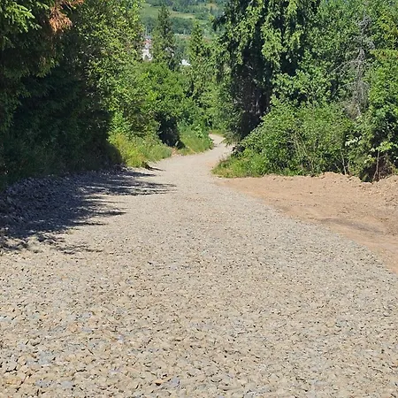 Lisoviy Zatyshok 2 ,котеджі,басейн,чан-джакузі بيت ضيافة سلافسكي