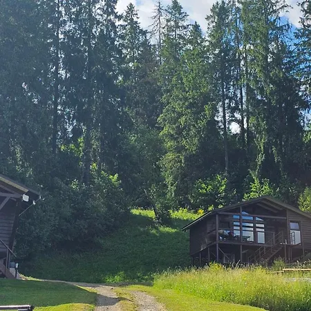 Lisoviy Zatyshok 2 ,котеджі,басейн,чан-джакузі 3* Slavske